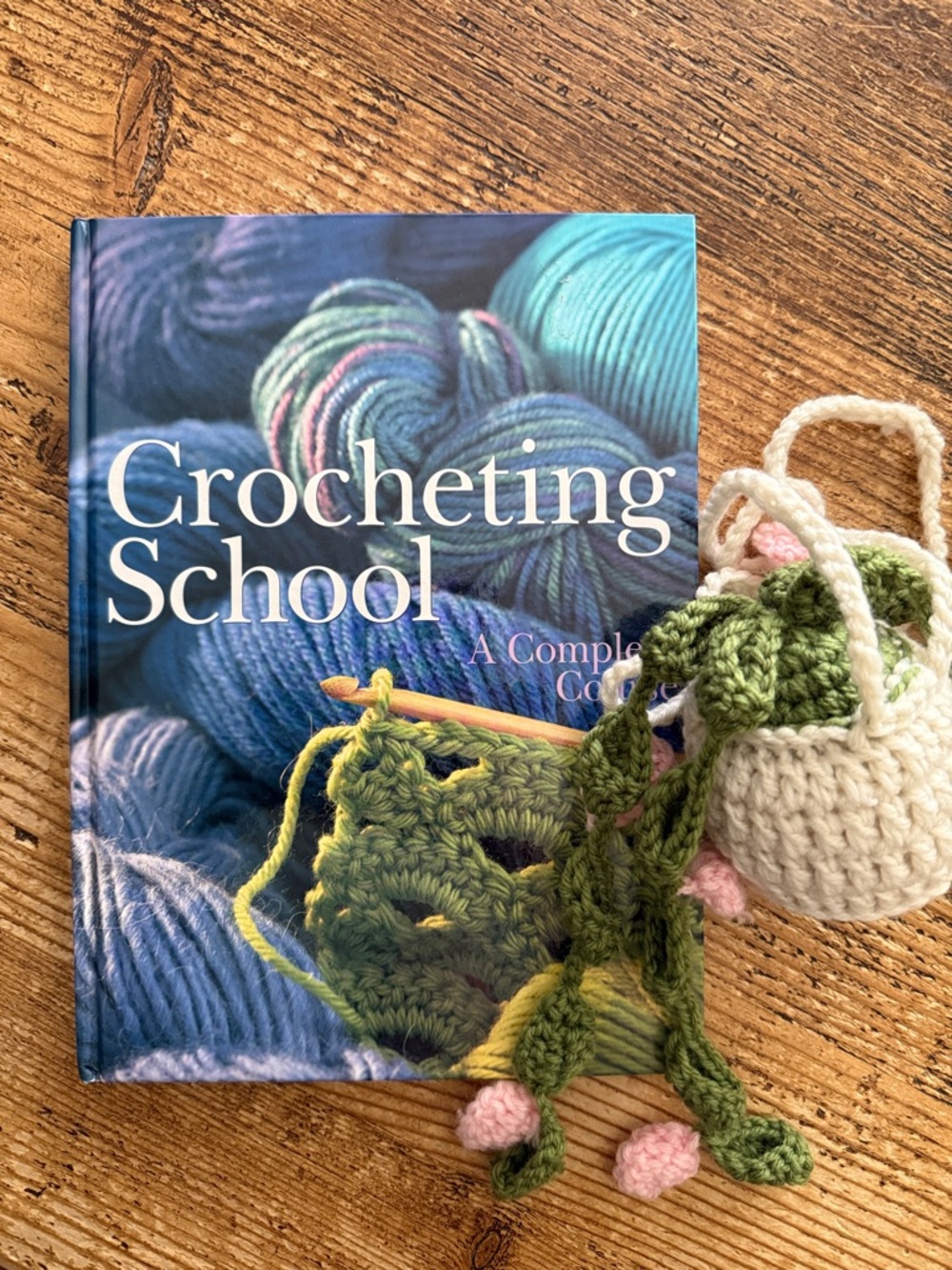 Crocheting School Book & Novelty Decor